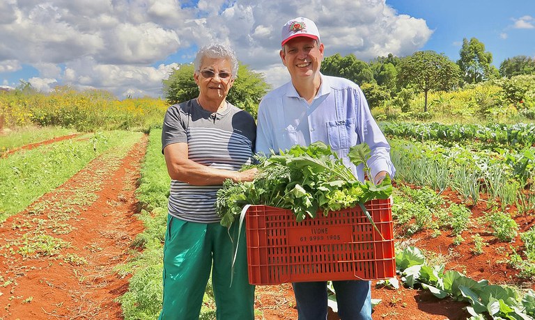 Agricultores familiares produzem toneladas de alimentos orgânicos e lutam por regularização do acamp