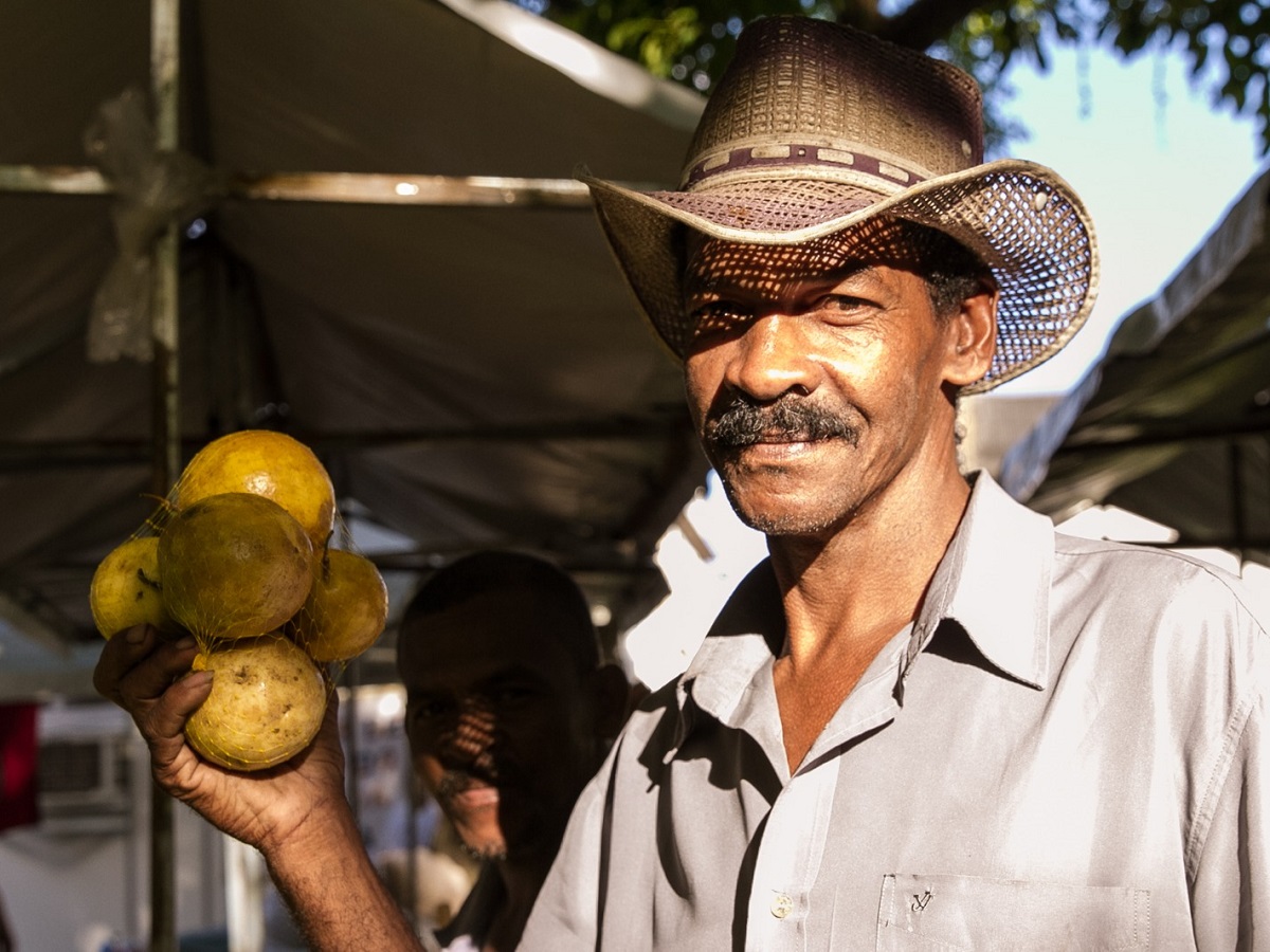 Alimentos orgânicos e agroecológicos ganham só 0,02% dos créditos da agricultura familiar