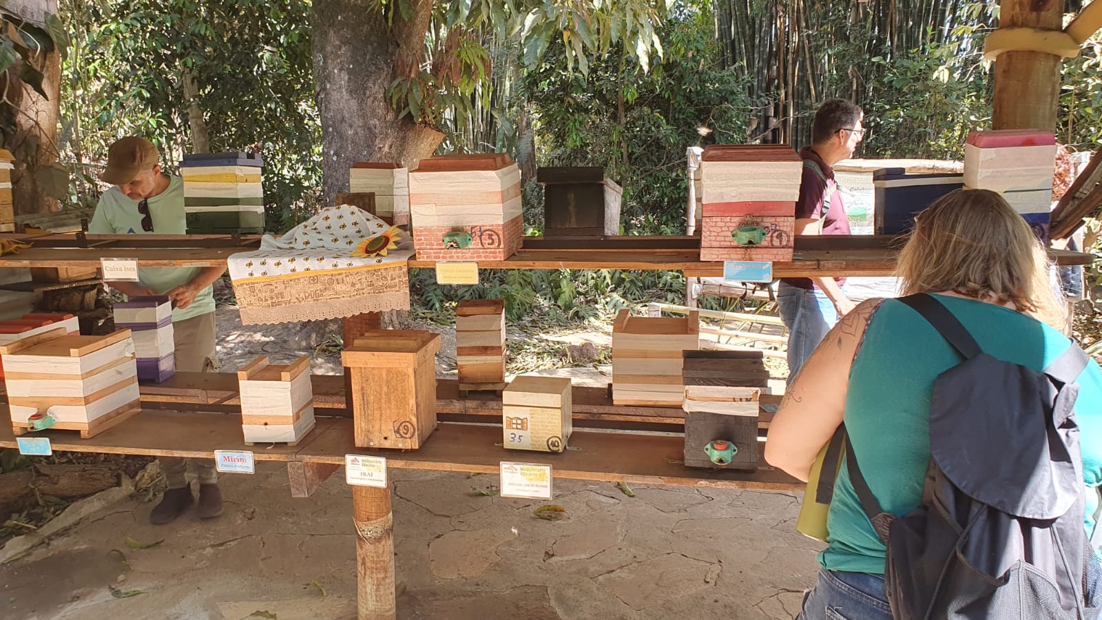 Sítio de educação socioambiental recebe visita técnica de servidores do GDF