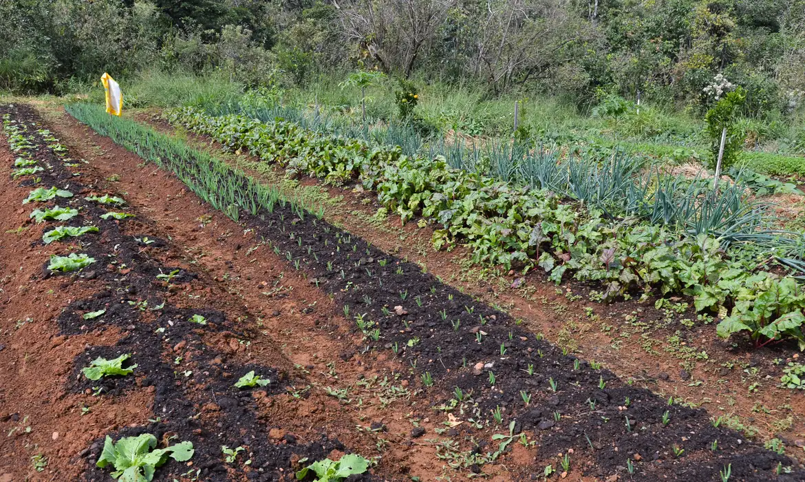 COP 16 da Biodiversidade discute alimentação sustentável