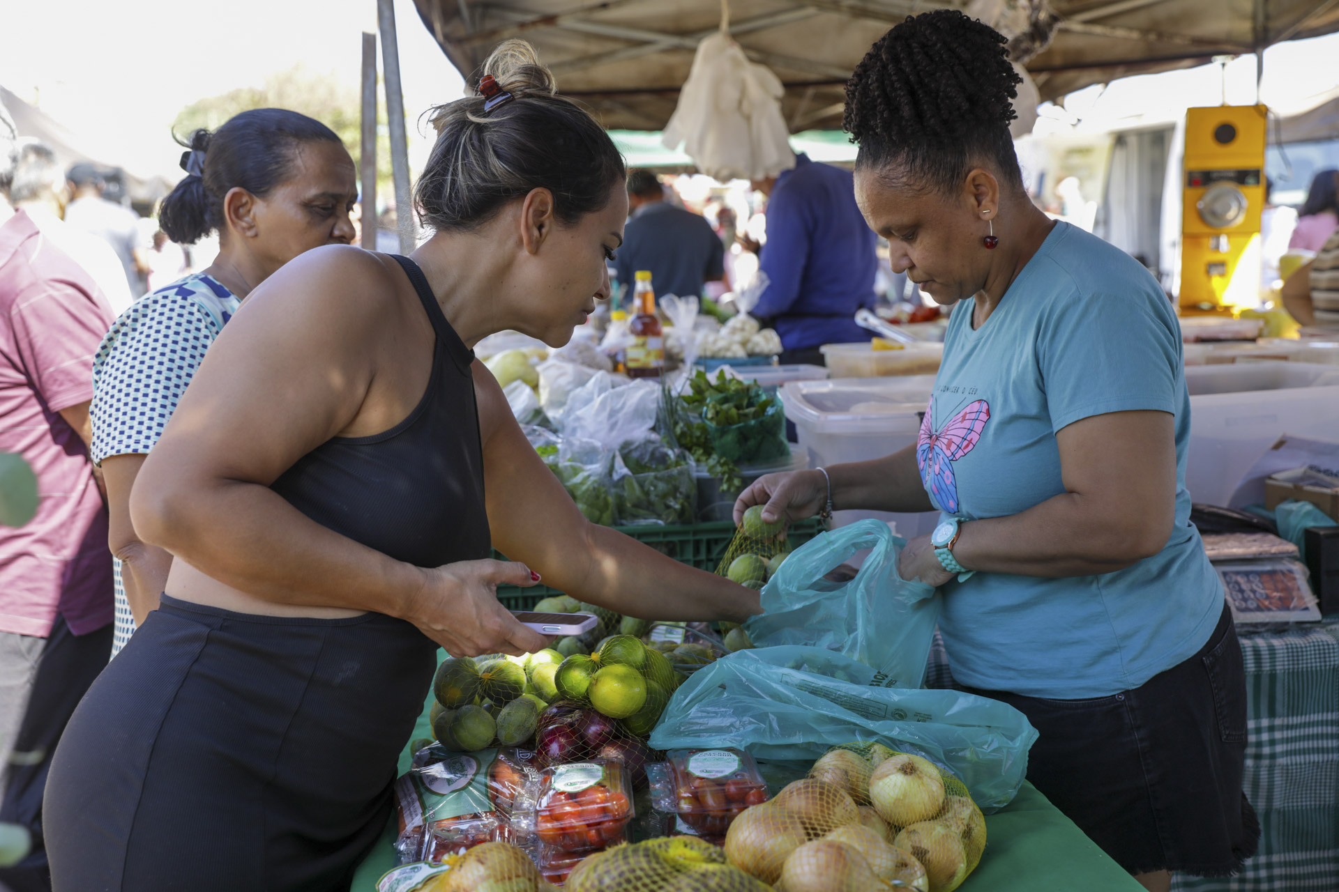 Feiras movimentam mercado rural do DF com a comercialização da produção agrícola