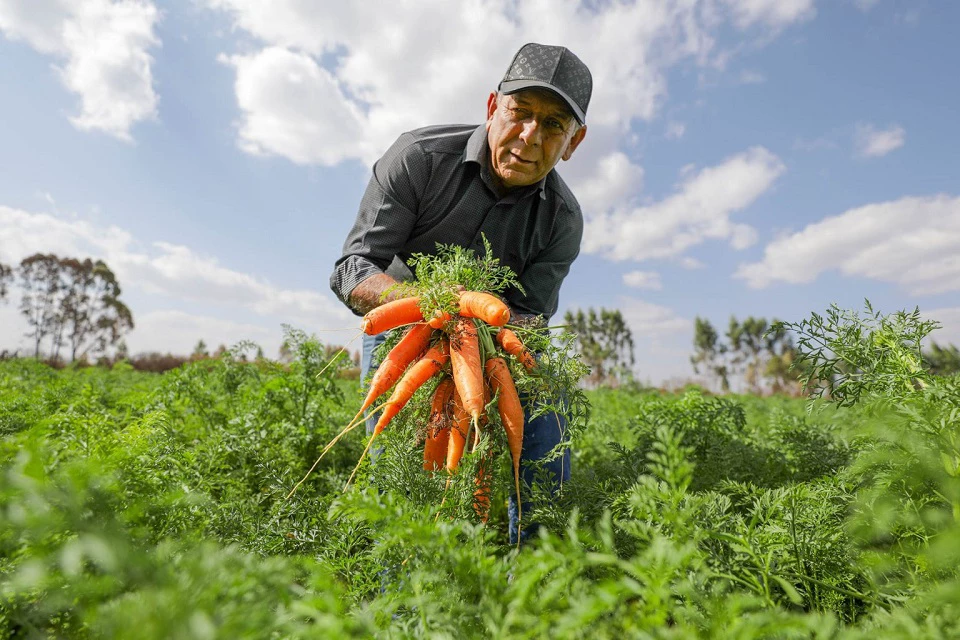 DF fará maior compra de alimentos da agricultura familiar para escolas da história