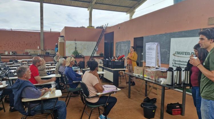 Uso de leguminosa reduz custos e traz benefícios ambientais